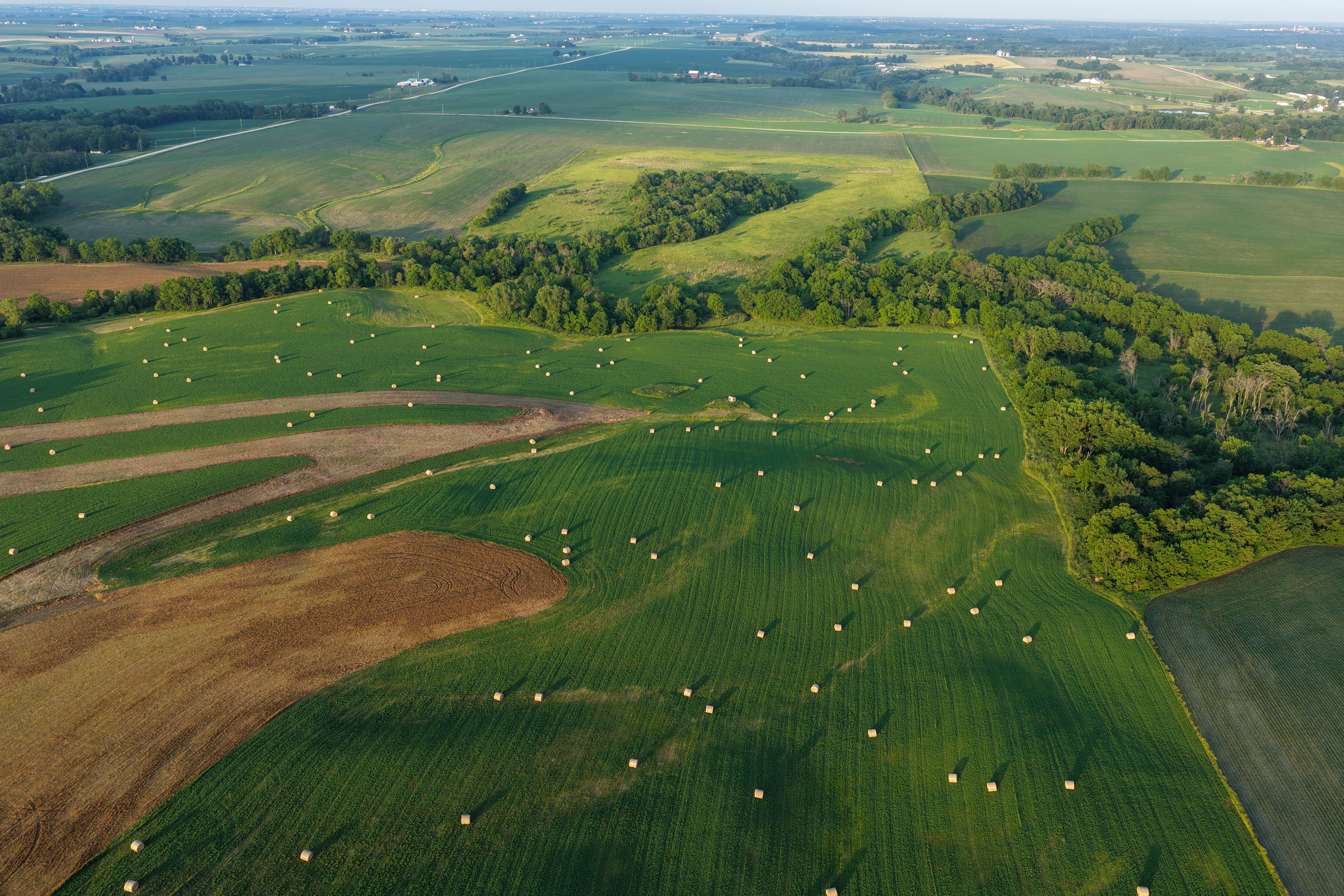 Listing Photo: Muscatine County Iowa Recreational Farm with Income-76